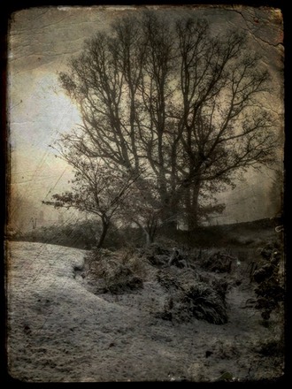 JpF13pL5QvmMz3D7IKgG4g thumb 1b3a